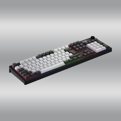 Skyfall 100 Pro Wireless