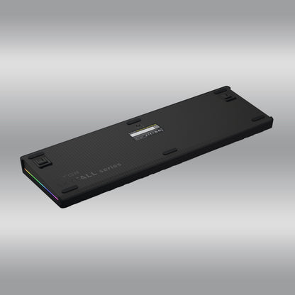 Skyfall 100 Pro Wireless