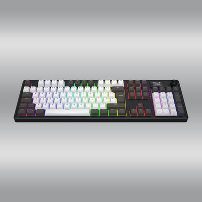 Skyfall 100 Pro Wireless
