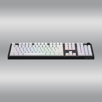 Skyfall 100 Wireless