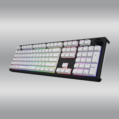 Skyfall 100 Wireless