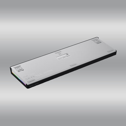 Skyfall 100 Wireless