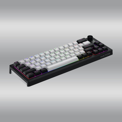 Skyfall 65 MAG Ultima 8K Wireless