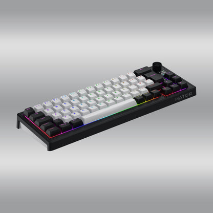 Skyfall 65 MAG Ultima 8K Wireless