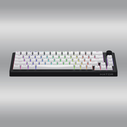 Skyfall 65 MAG Ultra 8K