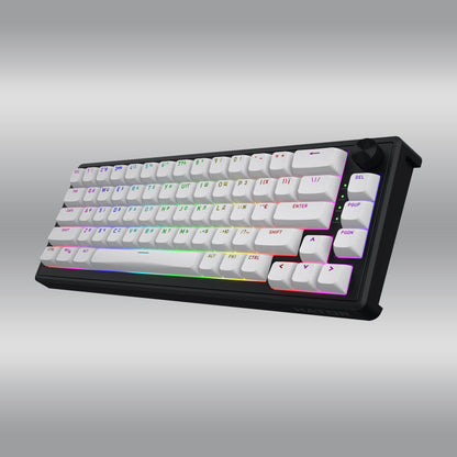 Skyfall 65 MAG Ultra 8K