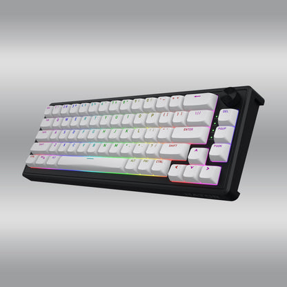 Skyfall 65 MAG Ultra 8K