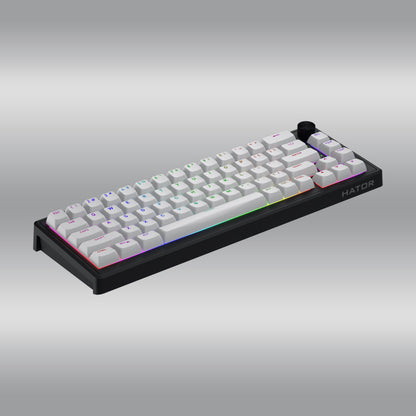 Skyfall 65 MAG Ultra 8K