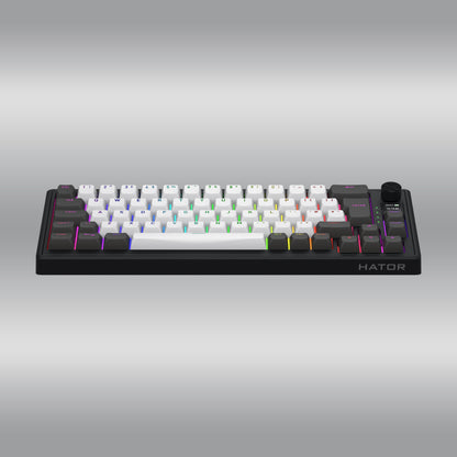 Skyfall 65 Pro Wireless