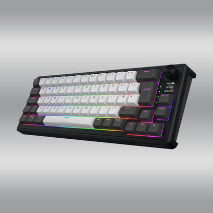 Skyfall 65 Pro Wireless