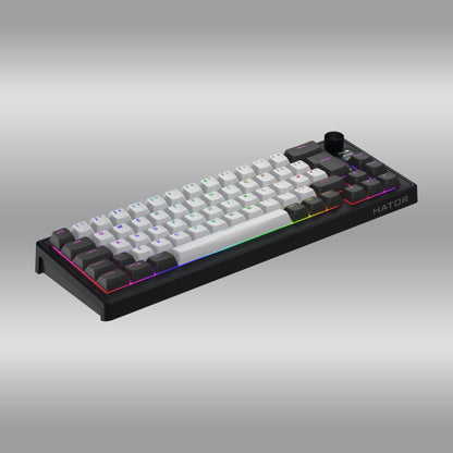 Skyfall Pro Wireless