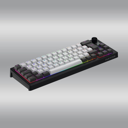 Skyfall 65 Pro Wireless