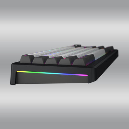 Skyfall 65 Pro Wireless