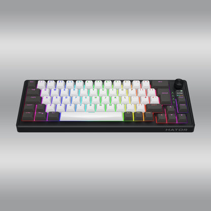 Skyfall 65 Pro Wireless