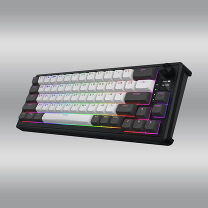 Skyfall Pro Wireless