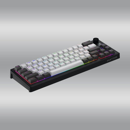 Skyfall Pro Wireless