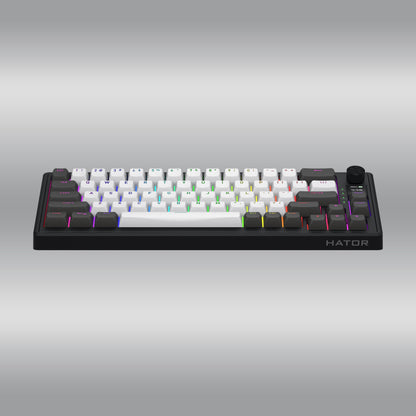 Skyfall Pro Wireless