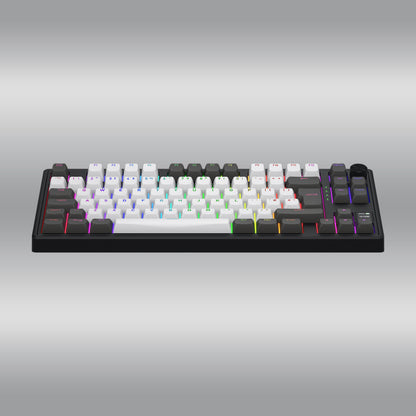 Skyfall 80 Pro Wireless