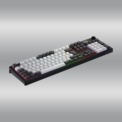 Skyfall 100 Pro Wireless