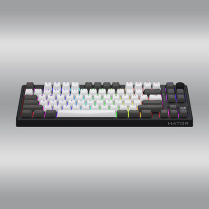 Skyfall Pro Wireless