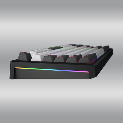 Skyfall Pro Wireless