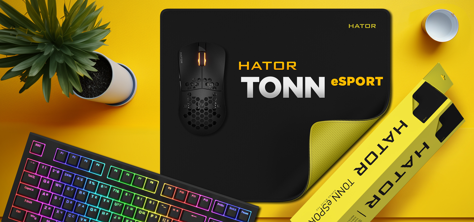 Hator Tonn eSport